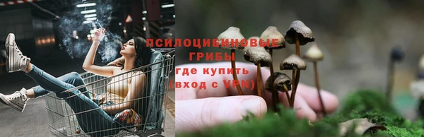 MESCALINE Абинск