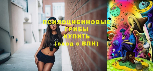 бошки Абаза